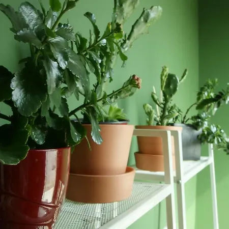 Ca' Dei Noccioli - Loft * Mirano