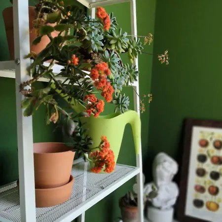 Ca' Dei Noccioli - Loft *